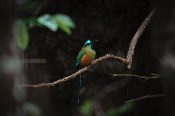 Comment blanchir les interrupteurs ?